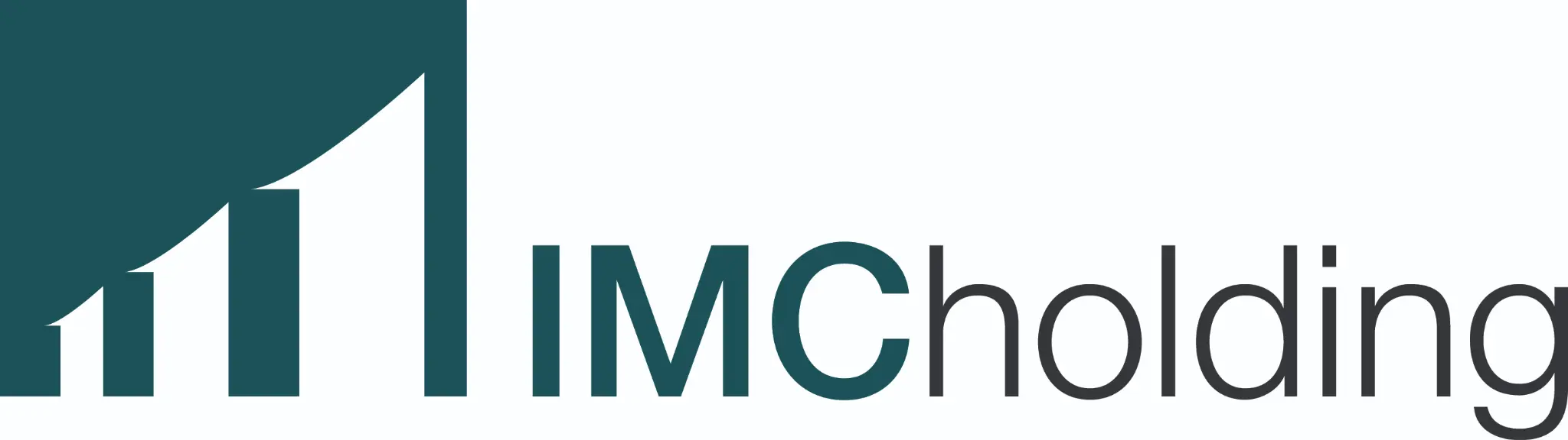 IMC Holding Logo